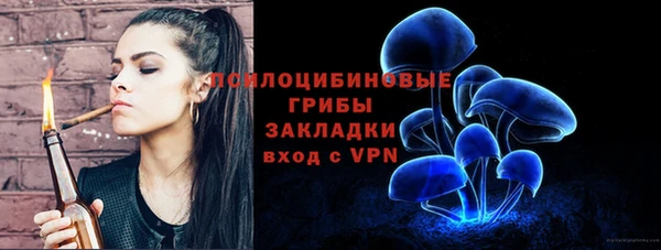 СК Алексеевка